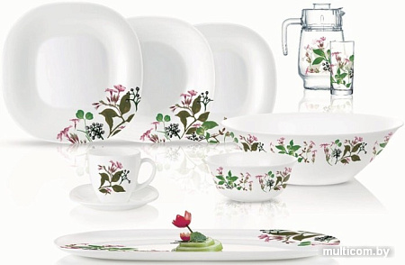 Столовый сервиз Luminarc Carine Prunier N2251