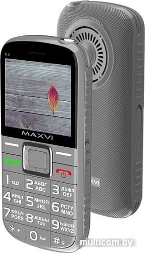 Мобильный телефон Maxvi B5 (серый)
