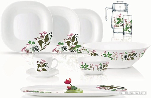 Столовый сервиз Luminarc Carine Prunier N2251