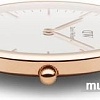 Наручные часы Daniel Wellington DW00100003