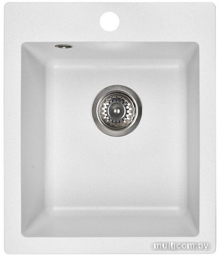 Кухонная мойка Wisent 420-28W (с сифоном GER013)