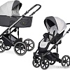 Универсальная коляска Expander Exeo (2 в 1, 01 silver)