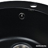 Кухонная мойка Wisent 480-25WR (с сифоном GER013)