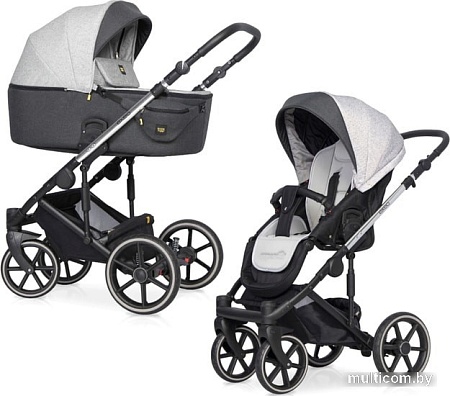 Универсальная коляска Expander Exeo (2 в 1, 01 silver)