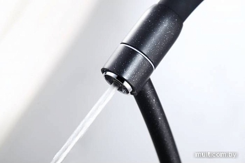 Смеситель Paulmark Siegen Si213111-401TB (антрацит)