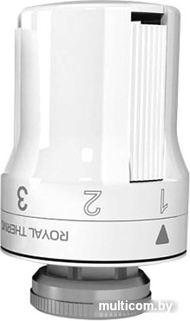 Термоголовка Royal Thermo RTE 50.030