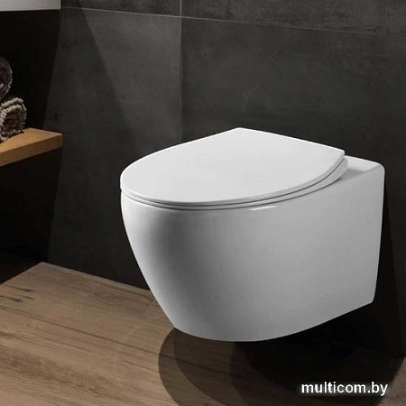 Унитаз Vincea Felice VT1-25 (белый)
