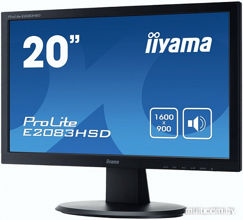 Монитор Iiyama ProLite E2083HSD-B1