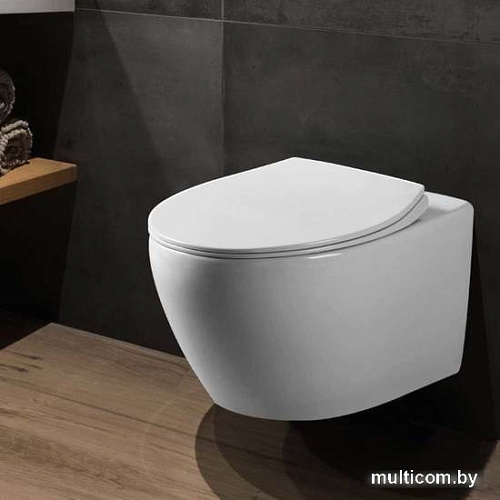 Унитаз Vincea Felice VT1-25 (белый)