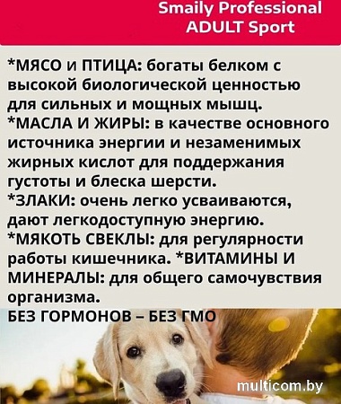 Сухой корм для собак Smaily Professional Adult Sport для взрослых активных пород 18 кг