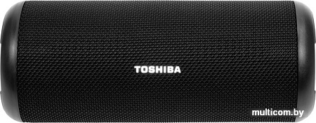 Беспроводная колонка Toshiba TY-WSP201