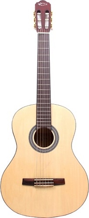 Акустическая гитара Aileen ACG160