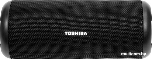 Беспроводная колонка Toshiba TY-WSP201