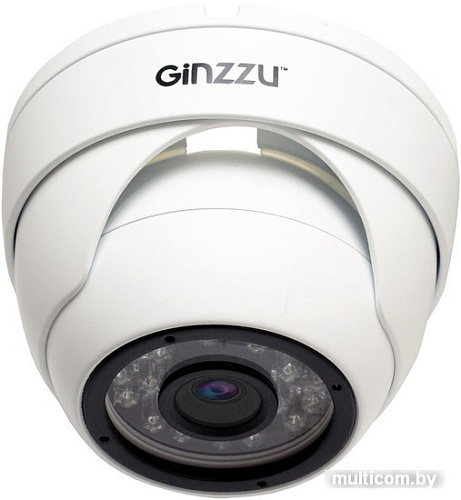 IP-камера Ginzzu HID-5301A