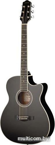 Акустическая гитара Naranda DG220CBK