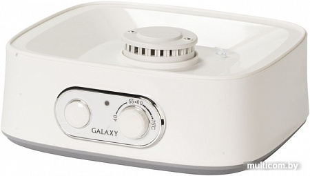 Сушилка для овощей и фруктов Galaxy GL2635