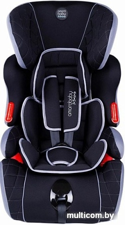 Детское автокресло Amarobaby Big trip AB212006BTChS/09 (черный/серый)