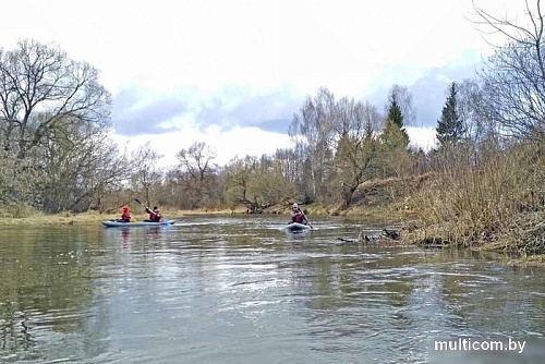 Надувная лодка Вольный ветер Ермак 300 (серый)