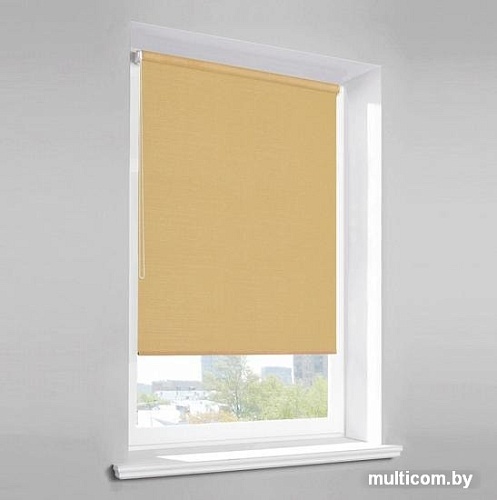 Рулонные шторы Lm Decor Лайт LM 30-07С 220x185