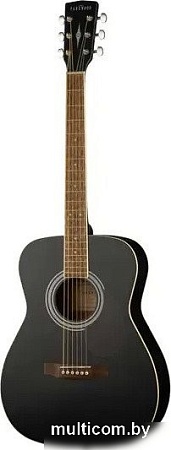 Электроакустическая гитара Parkwood PF51E-WBAG-BKS