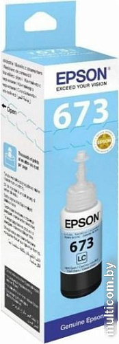 Чернила Epson C13T673598