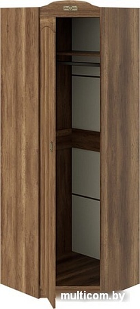 Шкаф распашной Трия Навигатор ТД-250.07.23 (дуб каньон)