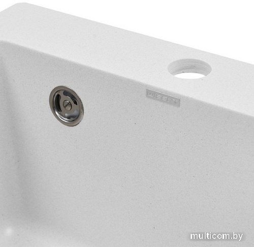 Кухонная мойка Wisent 420-28W (с сифоном GER013)