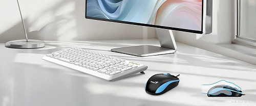 Мышь Genius DX-111 USB-A (черный/синий)