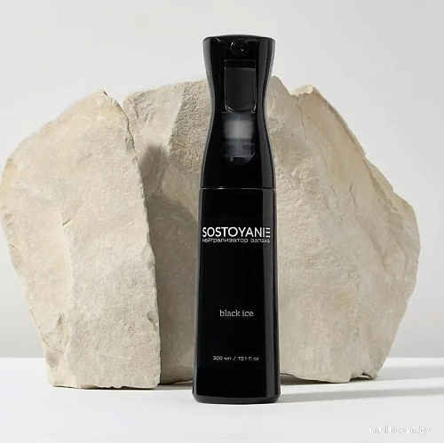 Нейтрализатор запаха Sostoyanie Black Ice (300 мл)
