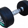 Гантели DFC Powergym DB002-6