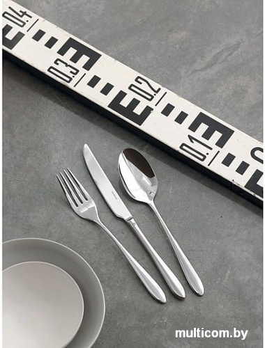 Набор столовых приборов Sambonet Dream 52515-83