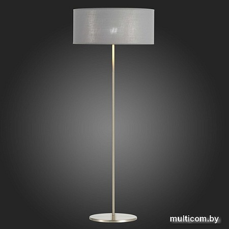 Торшер Evoluce SLE300515-01