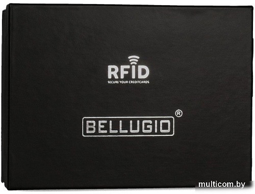 Кошелек Bellugio TD-125R-415