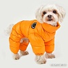 Комбинезон для животных Puppia Jumpesuit А PAPD-JM1672-MS-M (оранжевый)