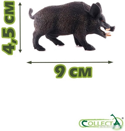 Фигурка Collecta Кабан 88363b