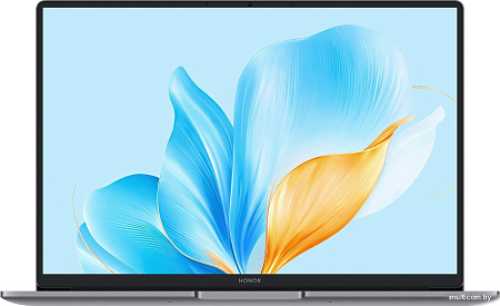 Ноутбук HONOR MagicBook X14 2025 FRG-X 5301ALWG