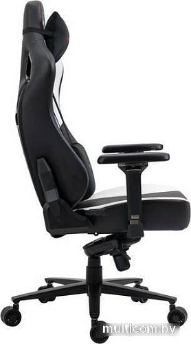 Кресло Evolution Project A (черный/белый)