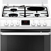 Кухонная плита Hansa FCMW68209