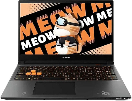 Игровой ноутбук Colorful Evol MEOW R15 A10305000029
