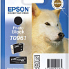 Картридж Epson C13T09614010