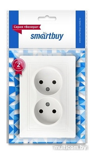 Розетка Smart Buy SBE-01w-10-S2-N-c