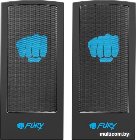 Акустика Fury Skyray
