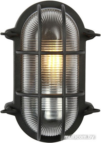 Уличный настенный светильник Favourite Pointer 3022-1W