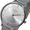 Наручные часы Skagen SKW2149