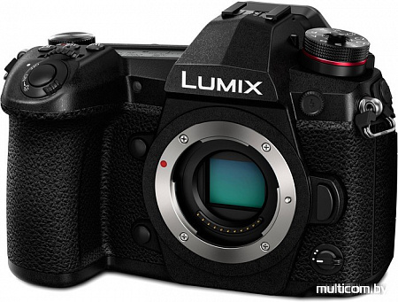 Фотоаппарат Panasonic Lumix DC-G9 Body