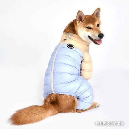 Комбинезон для животных Puppia Ultra Light Pastel PAUD-JP1675-BE-XL (бежевый/голубой)