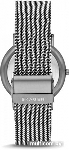 Наручные часы Skagen SKW6577