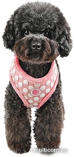 Шлейка Pinkaholic Joceline NARD-HA7363-IP-M (розовый)