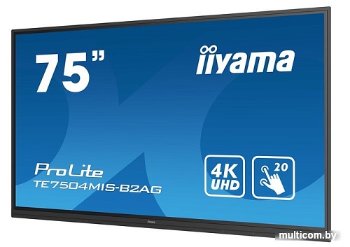 Интерактивная панель Iiyama ProLite TE7504MIS-B2AG