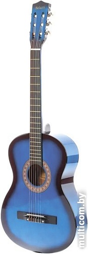 Акустическая гитара Belucci BC3805 BLS